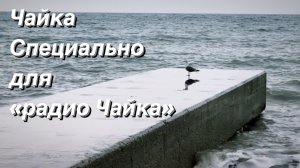 ВЛОГ День на пляже / Чайка на волнорезе