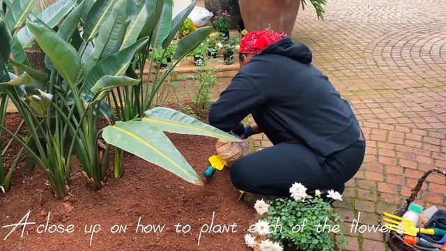 LET’S GARDEN | #Kavi Pratt смотреть онлайн