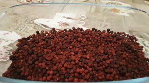 Китайский лимонник | Чем он полезен? | Как растет?