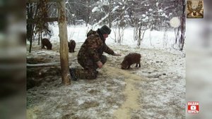 Егерь, его права и обязанности.
