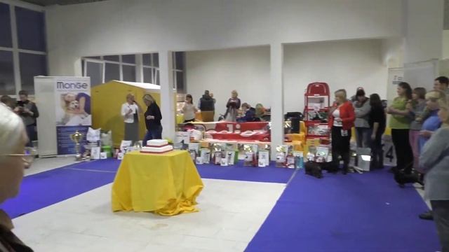 Финал Рейтинга 2017 СЗРО НКП ТАКСА смотреть онлайн