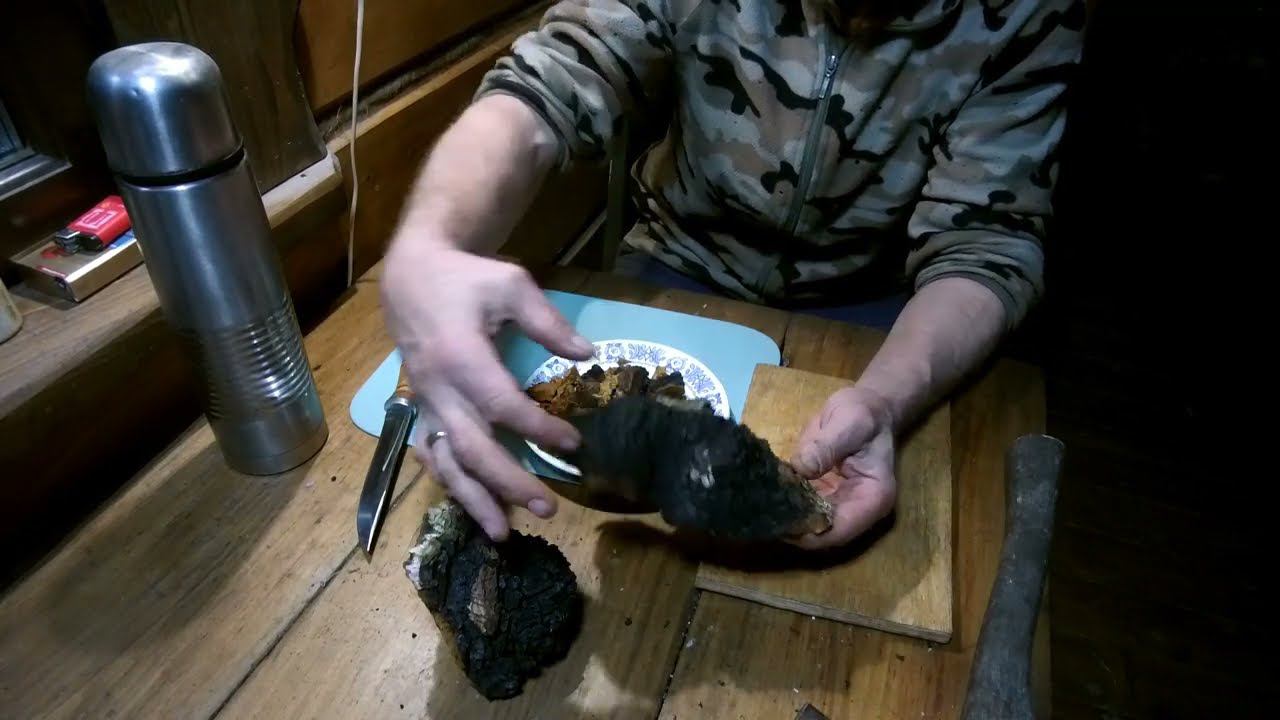 Завариваем Чагу. Что такое сувель и кап. смотреть онлайн