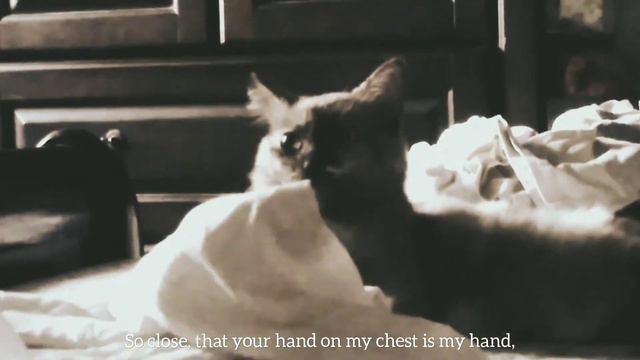 Pablo Neruda's смотреть онлайн