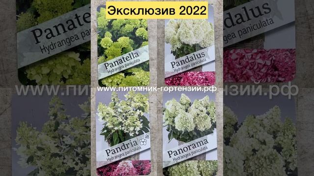 Специализированная выставка "ДАЧА. САД. ЛАНДШАФТ. МАЛАЯ МЕХАНИЗАЦИЯ" с22-26 марта 2023г. Москва-ВДН
