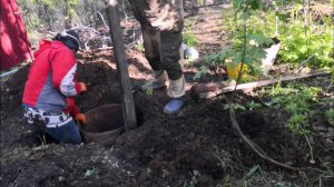 Садовый участок. Часть 8. Высокие грунтовые воды.