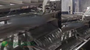 Линия для мойки и очистки лука порея | Производственные линии