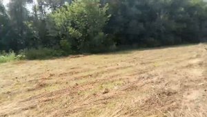 ЮМЗ 6 в работе с гвк польские грабли ворошилки