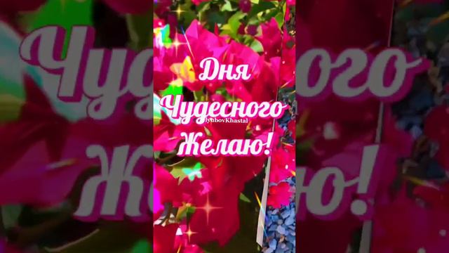 Дорогулечка  моя! смотреть онлайн