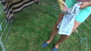 Колю Антибиотик кролику. Кролик заболел :(