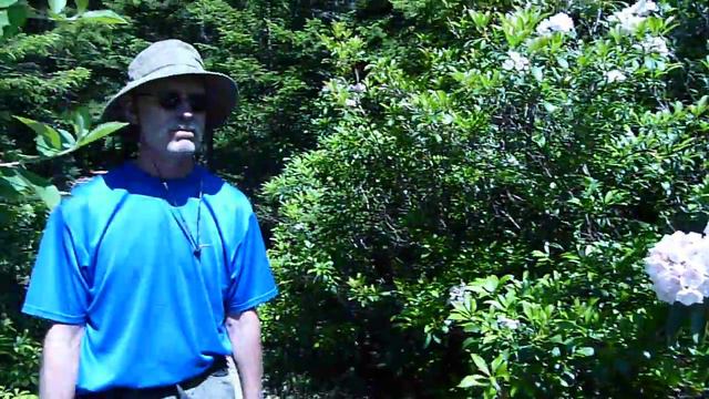 2009 Mancation - Mountain Laurels смотреть онлайн