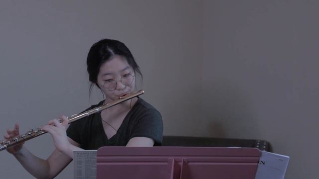 Behzad Ranjbaran Concerto for Flute and Orchestra смотреть онлайн