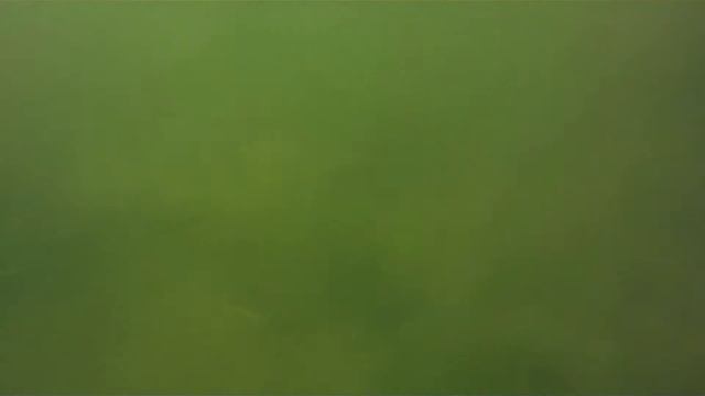 Дайвинг на карьере в Цернском