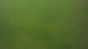 Дайвинг на карьере в Цернском