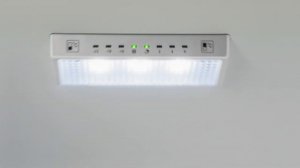 LEX. Видеообзор отдельностоящего холодильника RFS 204 NF