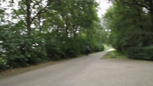 5  Фриз Айке . 6 лет . мерен . заезжен под седло и в упряжь. смотреть онлайн