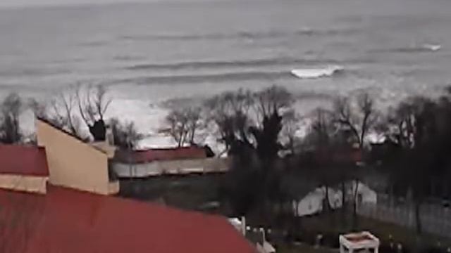 Новый год в Лоо (Сочи). Вид из окна. Море. Номер. Краснодарский край.