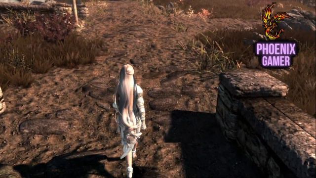 DOIS MODS ESSENCIAIS PARA DEIXAR MUITO MAIS IMERSIVO SKYRIM смотреть онлайн