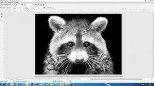 Подготовка макета для аэрографии. Портрет Енота. Аэрография уроки.