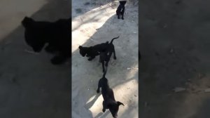 Рыбалка в Темрюке