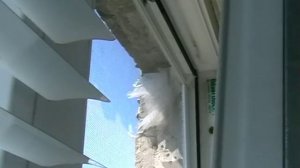 Птицы стрижи развлекаются, или кто ворует пакеты! ;) Чёрный стриж!