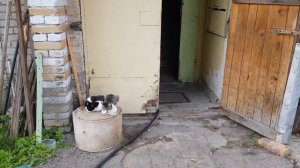 Эстония. Забытый богом и людьми поселок Сиргала - в 21 веке, в цивилизованной стране...