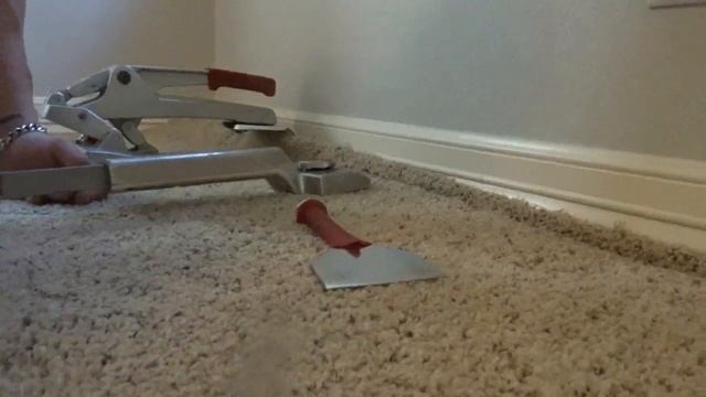 Large Carpet Power stretching Caught on Camera VLOG смотреть онлайн