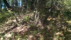 Что чувствует душа выходя из тела