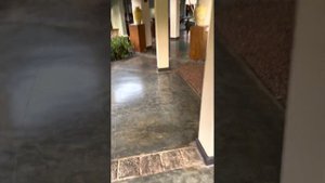 THE PALMS 4* ШРИ-ЛАНКА! ОТЗЫВ, ОБЗОР ТЕРРИТОРИИ ОТЕЛЯ. ТУРЫ, ЦЕНЫ, ПЛЯЖ 🏝️