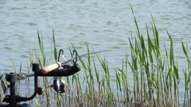 Активный весенний карась на фидер! смотреть онлайн