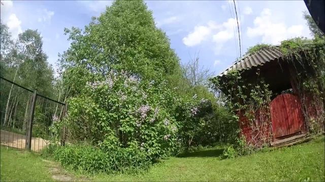 Медитация 9 мин - дача, июнь, сирень на ветру смотреть онлайн