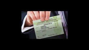 Как иностранному гражданину получить СНИЛС в 2021 году