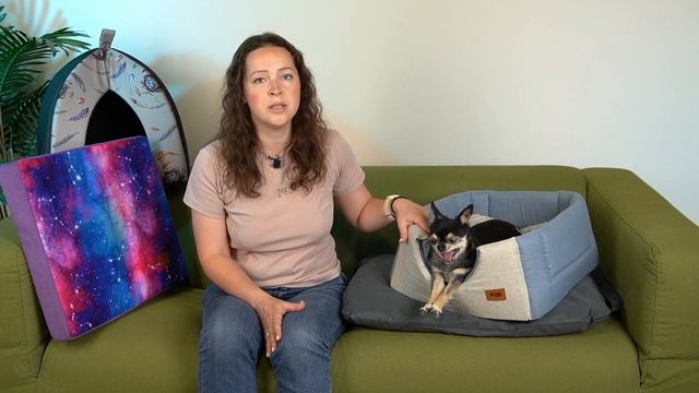 Как выбрать лежанку? Мебельная ткань или лён? смотреть онлайн