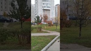 Москва Раён Некрасовка