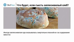 Что будет, если съесть заплесневелый хлеб