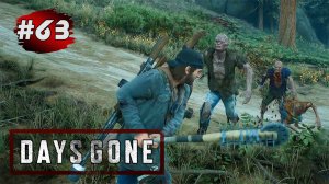 DAYS GONE (Жизнь После) ➤ Прохождение # 63 ➤ Найти Нэда Уокера