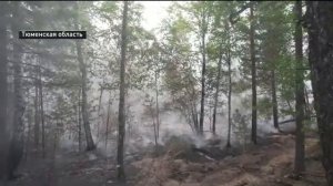 Превышение концентрации диоксида серы зафиксировали в воздухе Тюмени