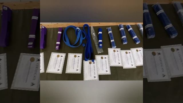 Аттестация по bjj фелиала Ludus Academy в Барнауле. 29 октября 2022.#BJJБарнаул #LudusAcademy смотреть онлайн