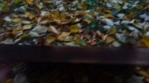 Как мы делаем чайные доски (чабани)