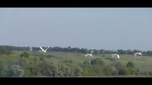 ПРИРОДА ДОНБАССА