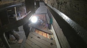 Террасная доска ДПК в ванной на цокольном этаже.