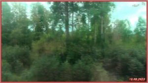 Поездка во Владивосток день Четвёртый