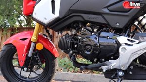 Хонда Гром или ДРУГИЕ ПРИКЛЮЧЕНИЯ ДЕНИСА ? Honda Grom | Полный Тест-драйв!