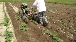 ДО и CROSSER CR-M10 окучивание картофеля