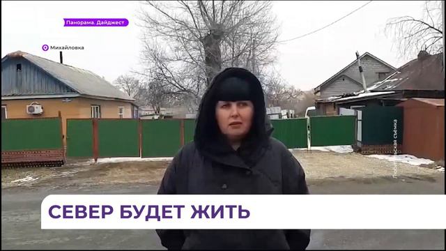 Подробности шокирующего случая жестокого обращения с животным произошел в Приморье