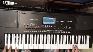 Кавер на синтезаторе: Китай - Но нейм ;) (Джекки Чан).mp4