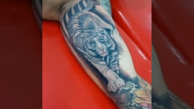 Tigre oriental, Tattoo.
