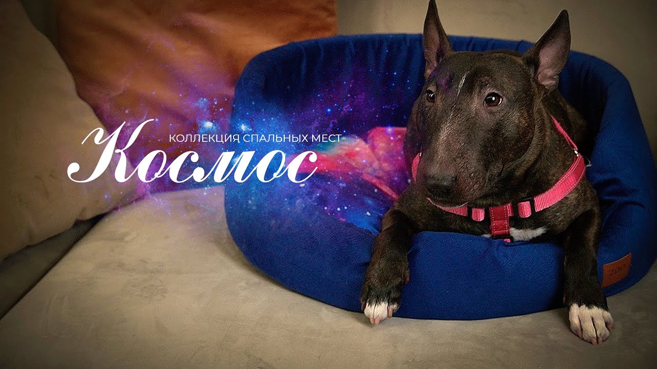 Фантастические лежанки КОСМОС смотреть онлайн