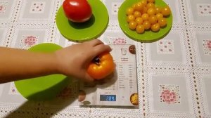 ОБЗОР ТОМАТА  АЛТАЙСКИЙ ОРАНЖЕВЫЙ.