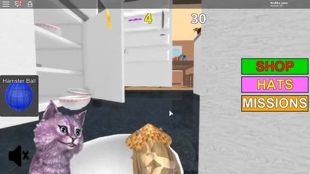 СИМУЛЯТОР ХОМЯКА В РОБЛОКС! ГОРИМ! КОШКА ЛАНА И КОТ ЛЕО ТЕПЕРЬ ХОМЯКИ Hamster Simulator roblox смотреть онлайн