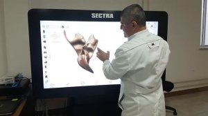 Височная кость. Каналы височной кости в 3D / 3D Anatomy of the skull